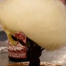 용문 트로께