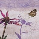 서구-02-116 이미지