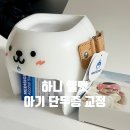 에이스헬스케어 | 아기 단두증 두상교정 한헬스케어 하니헬멧 착용 후기(추천인 가능!)