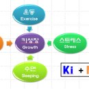 키네코어