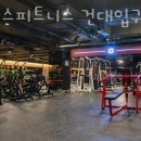 박스짐헬스 이미지