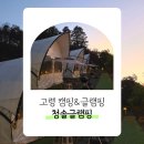 청솔 | 고령 청솔글램핑 대구 근교 아이랑 겨울 글램핑 후기