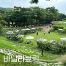 허숙희네 | 남양주 애견운동장 카페(중,대형견 가능) ㅣ 바닐라브릭