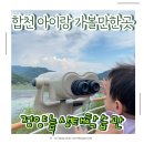 정양늪생태학습관 | 합천 아이랑 가볼만한곳 정양늪생태학습관
