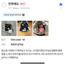 피오케이 이미지