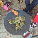 황산 캠핑장 이미지