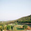 상상목장 이미지