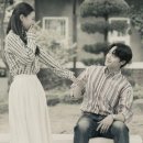 청춘 이미지