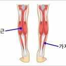 조태환한의원 네이버블로그