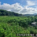 마니산 가는 길목의 전망 좋은 화도면 문산리 토지140평 1억원,화도면 토지 이미지