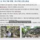 마상천 하천 이미지