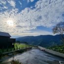 하릅원 | 지리산 품은 하동 애견동반 숙소 추천! 런