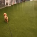 선운하늘채펜션 이미지