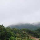 호반애견훈련소 이미지