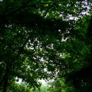 파주삼릉 이미지