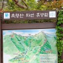 코멕스 방역 | 잣나무에 둘러쌓인 1박2일 축령산자연휴양림 야영데크 이용후기