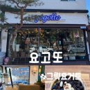 장량동 햇살 | 오늘, 장성동에서 너무 예쁜 신상을 발견했다… 요고또