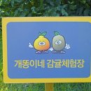 월림농장 이미지