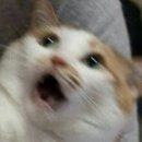 법원군산지원 이미지