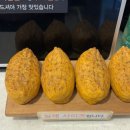 정직유부용원점 네이버블로그