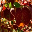 자연농장 이미지