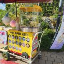 조례푸르넷영어학원