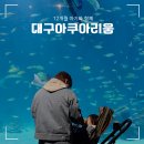 신백어린이집 | 대구아쿠아리움 12개월 아기와 다녀온 후기