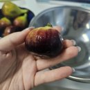 달뜨는국밥 이미지