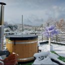 김작가의 낭만 풀빌라 이미지