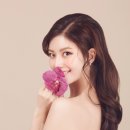 박정은헤어 이미지