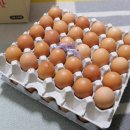 늘푸른유통 이미지