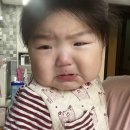 꾸팡헤어 | 생후 8개월 아기발달 : 중기이유식스케줄, 이유식양, 분유량