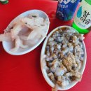 유동낚시터 | [당진맛집 내돈내산] 왜목마을 선상횟집 수덕호