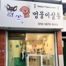 멍뭉이애견샵 이미지