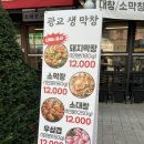 광교센트럴타운로 | 광교중앙역맛집 광교생막창 곱창전골 후기