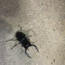 선두4리항 어판장 이미지