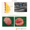 주영여성의원 이미지
