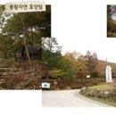 봄뜰 이미지