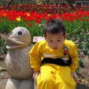 일곱색깔어린이집 이미지