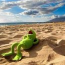 와리가리 이미지