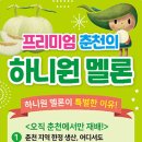 춘천원예농업협동조합 이미지