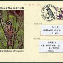 송도고등학교 이미지