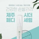 레푸스제주