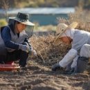 4차 산업혁명 시대에도 교사라는 직업이 존속할 수 있을까요 이미지