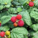 서원유통탑마트김해 이미지