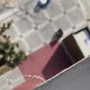 메디로프 이미지