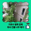 가로수빌딩 | 가로수 벌목 업체 회사 건물 나무 제거