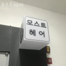 모스트헤어 이미지