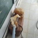 서라2차 이미지