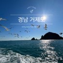 거제해금강 | 거제 해금강 유람선 티켓 할인 이용 후기 소요시간 코스